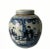 Chinese Blue and White Porcelain Ginger Jar For Sale - Image 11 of 11