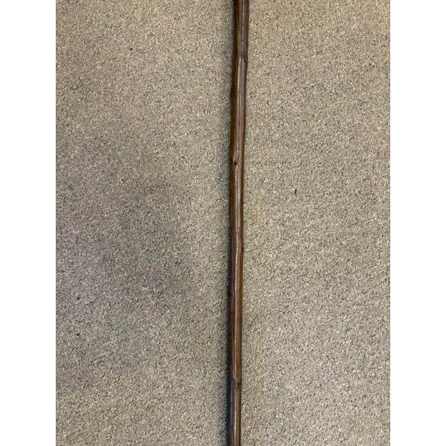 19th Century Spanish Cane With Horn Handle, Circa 1870 For Sale In Indianapolis - Image 6 of 8