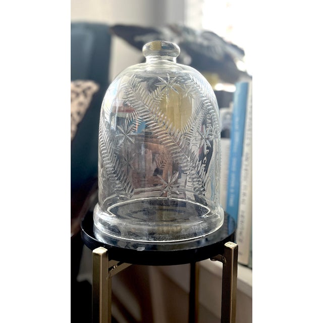 Beautiful vintage glass cloche with an elegant etched design featuring ferns and star-shaped floral motifs. The cloche has...