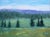 Tahoe Meadows, Contemporary Landscape Oil Painting For Sale