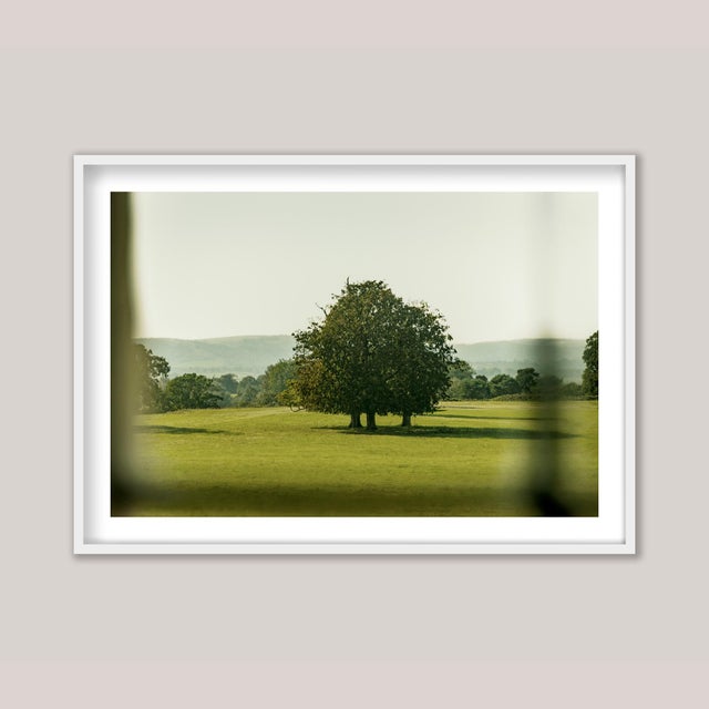 A late-summer view of a rural country garden in Normandy, France, seen through the softly distorted panes of a vintage...