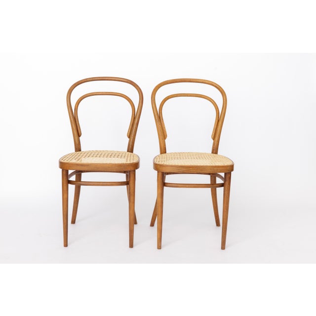 Vintage Model 14 Chairs in Bentwood from Thonet, 1980s, Set of 2 For Sale - Image 12 of 12