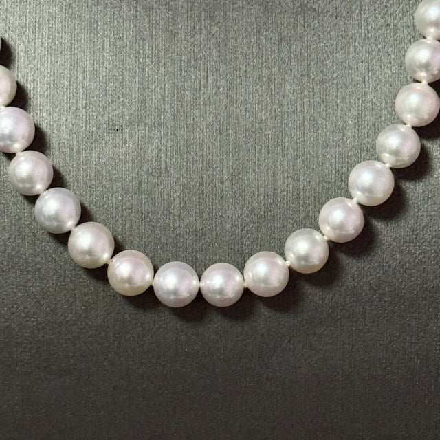 1990s Mikimoto Akoya Pearl Necklace 17" Sterling Silver 8 - 8.5 Mm Estate For Sale - Image 4 of 10