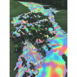 Ian Jones, Black Mirror Pool, Archival Pigment Print For Sale