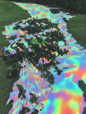 Ian Jones, Black Mirror Pool, Archival Pigment Print