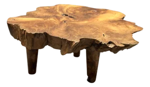 Andrianna Shamaris Mid Century Style Live Edge Coffee Table