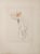 Hans Bellmer Erotic Scene II - 1971 Original engraving Proof bearing the signature stamp and justified EA in pencil. Sheet...