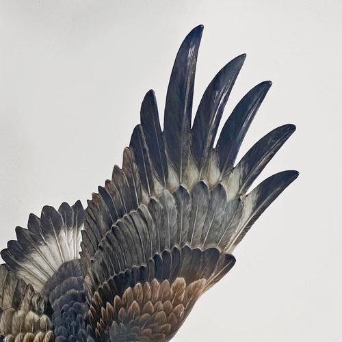 Gold German Polychrome Porcelain Eagle Sculpture by Fritz Heidenreich, 1930s For Sale - Image 8 of 18