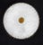 Gold Vintage Ceiling Lamp in Brass and Frosted Glass from Palwa, 1960s For Sale - Image 8 of 9