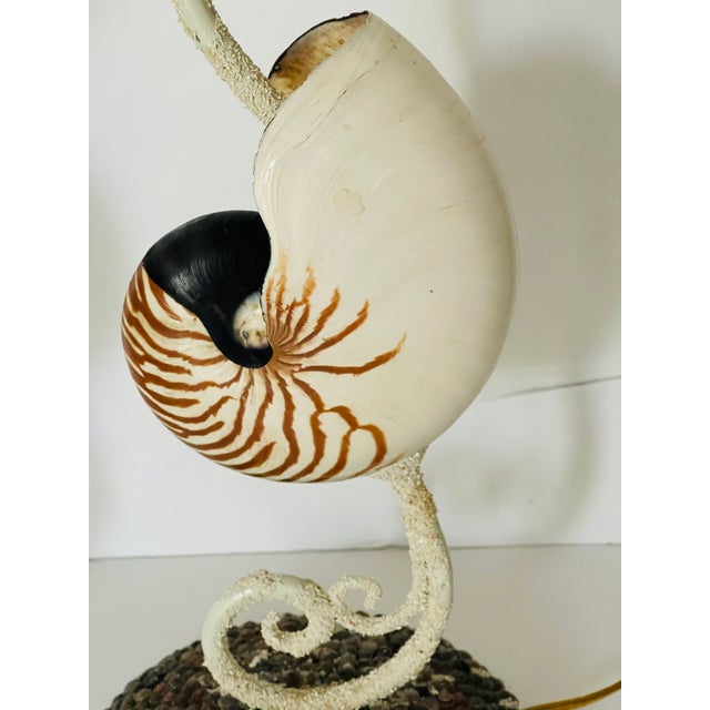 Gorgeous Pair Mid Century Sea Shell Coastal Lamos For Sale - Image 4 of 5