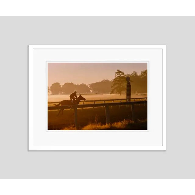 Morning training at saratago 1960 by toni frissell a racehorse at morning training, saratoga, usa, 1960 antoinette...