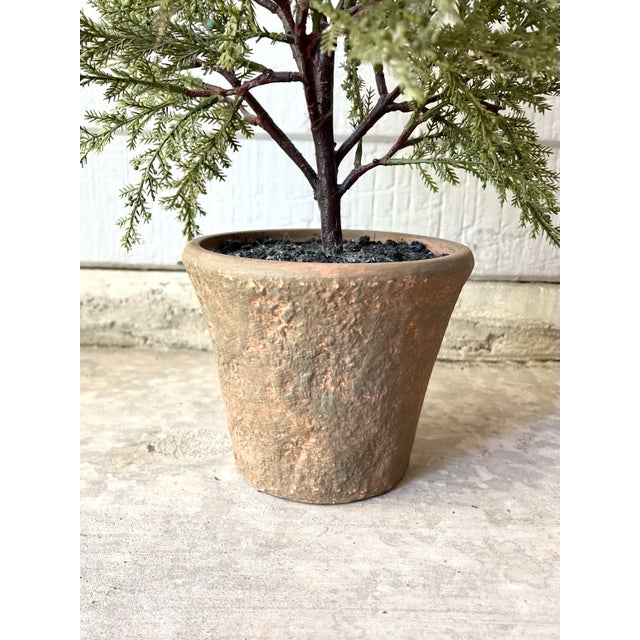 Contemporary Pottery Barn Faux Artificial Cedar Cypress Evergreen Potted Plant Tree For Sale - Image 3 of 7