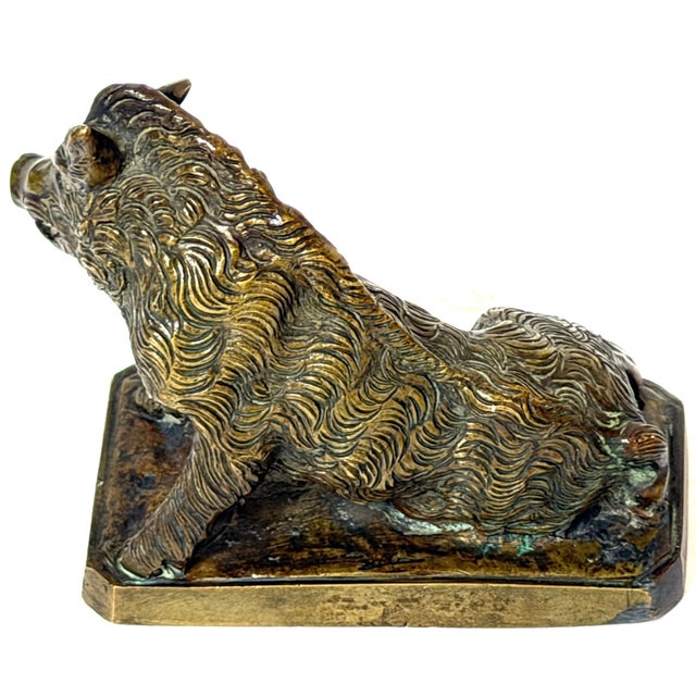 Italian Grand Tour Bronze “Porcellino” Boar After Pietro Tacca, Florence, 19th C For Sale - Image 4 of 10