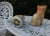 English Early 19th Century Staffordshire Cat Figurines - a Pair For Sale - Image 3 of 4