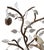 1980s French Baguès Style Rock Crystal, Smoky Quartz & Parrot Sconces - Pair For Sale - Image 10 of 10