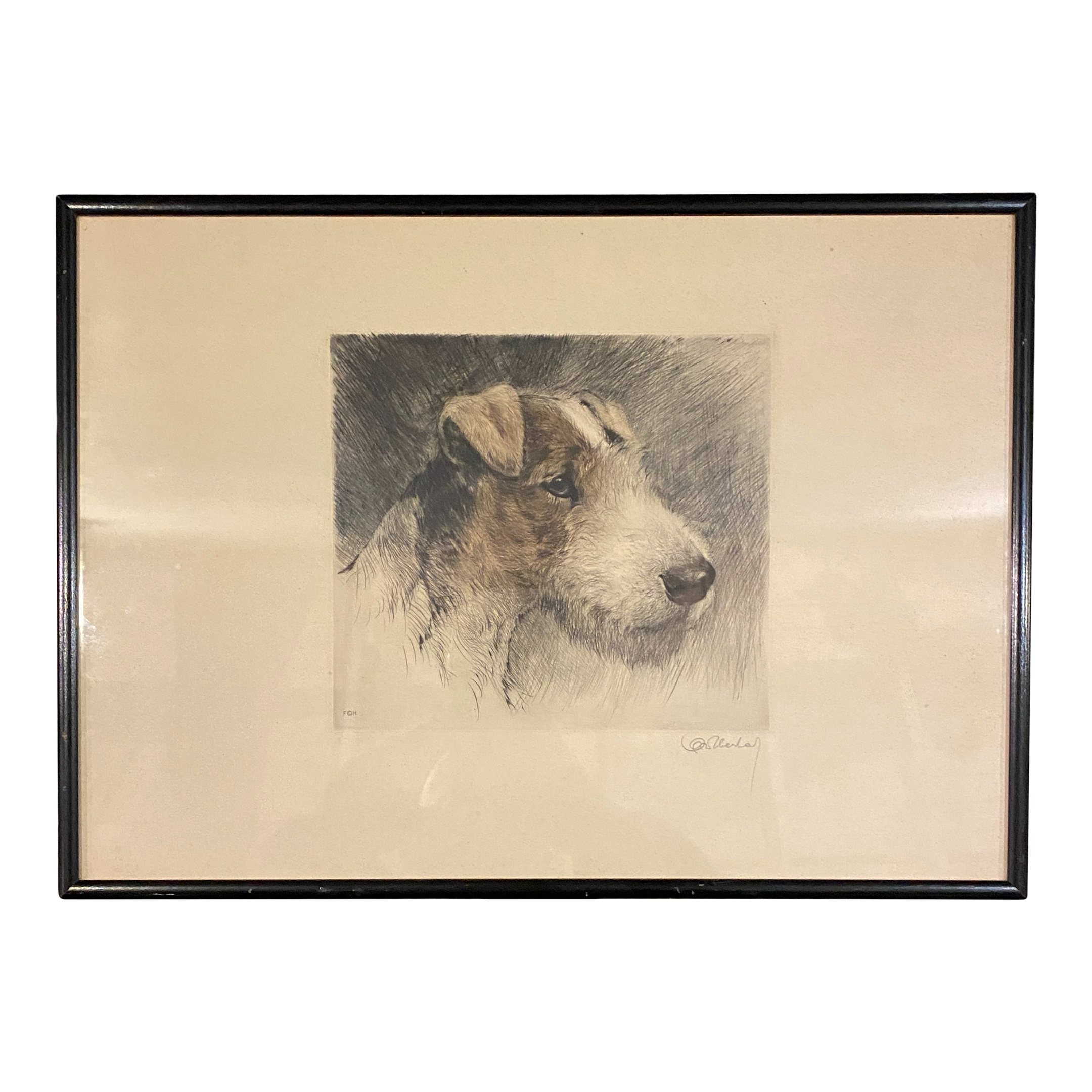 Early 20th Century Wire Fox Terrier Dog Original Signed Print by