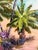 Vintage Signed M. Bryson Tropical Beach Palm Tree Landscape Painting, Framed For Sale - Image 10 of 17