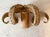 Mid 20th Century Folk Art Ram's Horn Wall Mount For Sale - Image 13 of 13