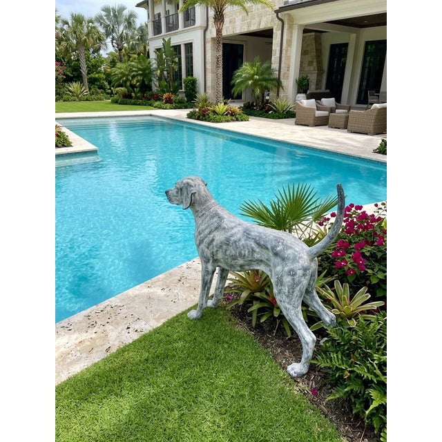 Cast Iron Pointer Dog Sculpture For Sale - Image 12 of 12