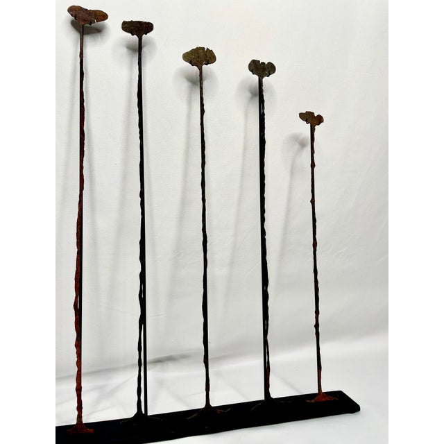 Modern 19th Century Mounted African Currency Pieces For Sale - Image 3 of 4