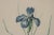 Vintage Iris Botanical Prints After Pierre-Joseph RedoutT - A Pair For Sale - Image 9 of 13