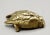 Early 20th Century French Gilt Bronze Sparrow Bird Sculpture Paperweight Attributed to Comoléra For Sale - Image 5 of 8