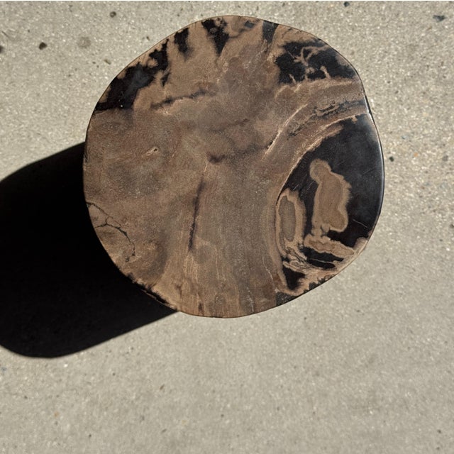 Side Table in Brown and Black Petrified Wood, 1980s For Sale - Image 12 of 18
