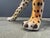Large Italian Ceramic Leopard Statue, 1960s For Sale - Image 9 of 13