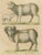Brodtmann, Spanish Sheep, Ewe, Lamb & Ram, Lithograph, 1816 For Sale - Image 3 of 9