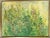 Original signed oil painting on canvas. This impressionist style piece depicts a field of flowers in shades of green,...