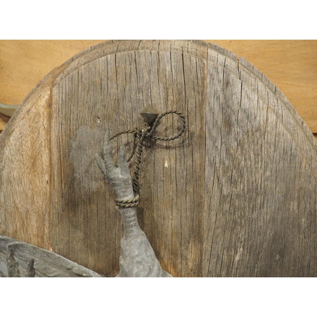 Pair of Circa 1890 Weathered French Hunt Trophies on Natural Oak Oval Panels For Sale - Image 4 of 18