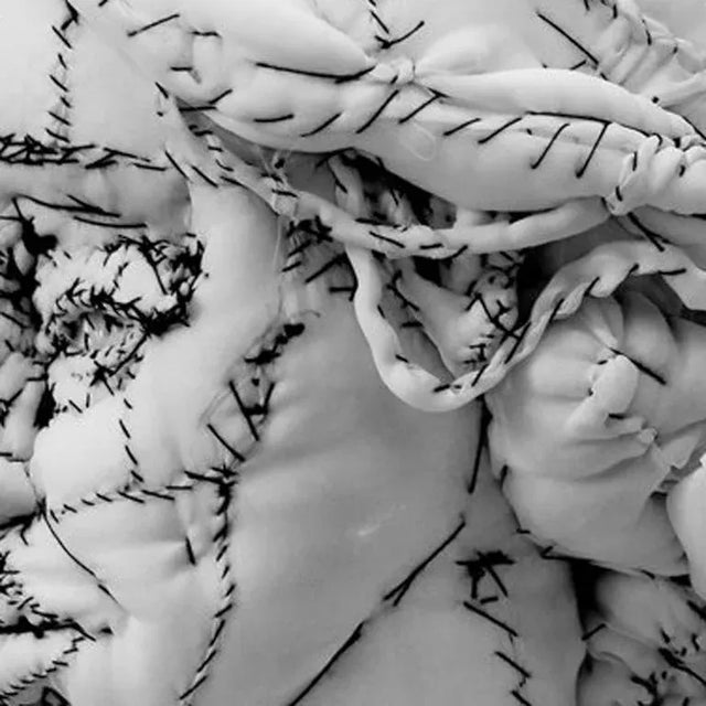 Virginia Woolf Fabric Sculpture, Anne Valérie Dupond, 2012 For Sale - Image 4 of 5