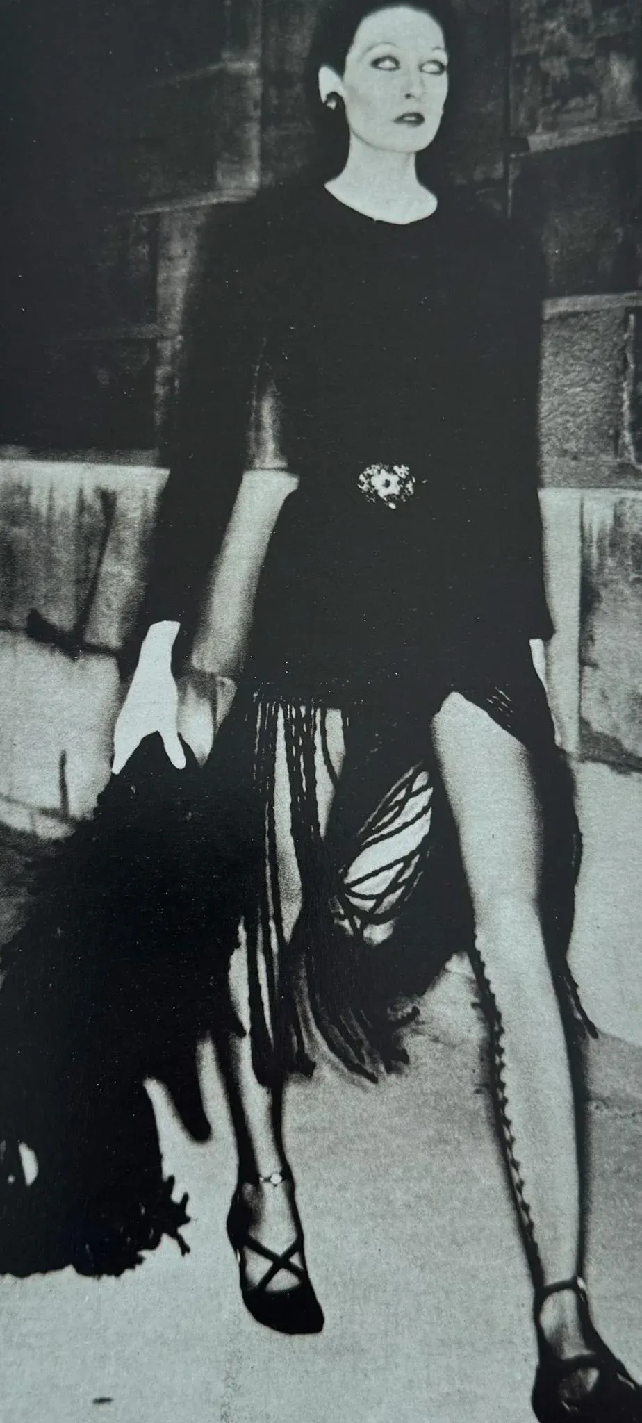 The Best of Helmut Newton by Zdenek Felix | Chairish