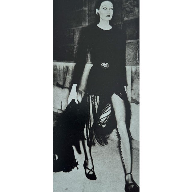 The Best of Helmut Newton by Zdenek Felix | Chairish