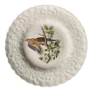 Vintage Large Carolina Turtle Dive Plate by National Audubon Society
