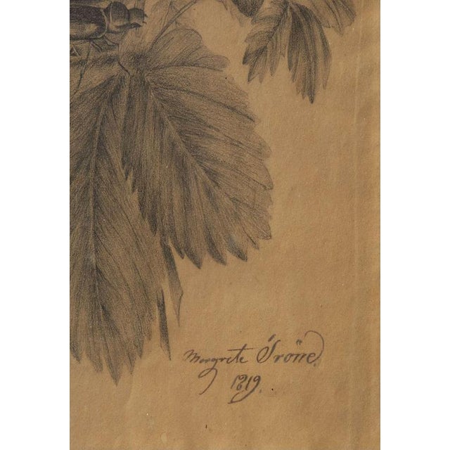 Margaret Trone, Swedish Empire Flower, Paper, Framed, Set of 2 For Sale - Image 9 of 14