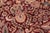 Shabby Chic 1990's Pak-Persian Red/Beige Wool Rug - 9'2'' X 12'4'' For Sale - Image 4 of 9