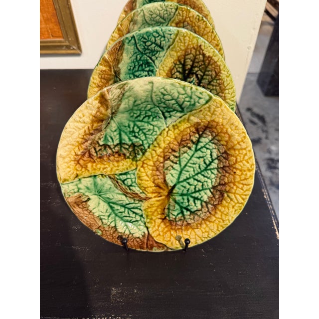 Antique Majolica Begonia Plates - Set of 4 For Sale In Houston - Image 6 of 7