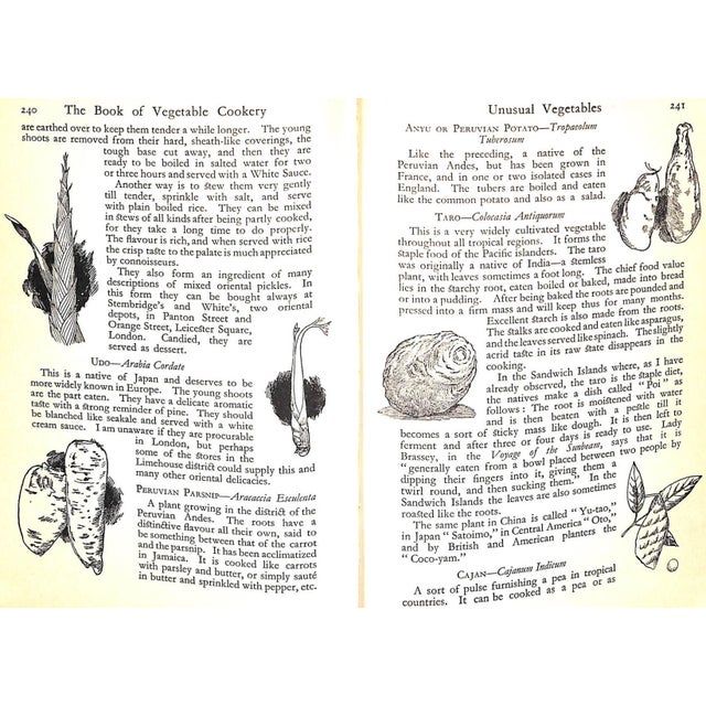"The Book of Vegetable Cookery Usual and Unusual" 1931 Sherson, Erroll For Sale - Image 10 of 12