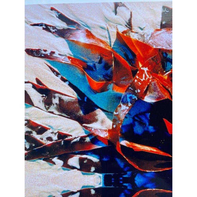 2000 - 2009 “Kelp Jewel I” — Drakes Beach, Point Reyes For Sale - Image 5 of 9