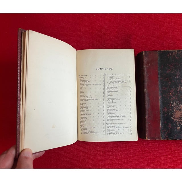 Animal Skin Fine Leather Bindings - Antique Books - 4 Volumes For Sale - Image 7 of 13