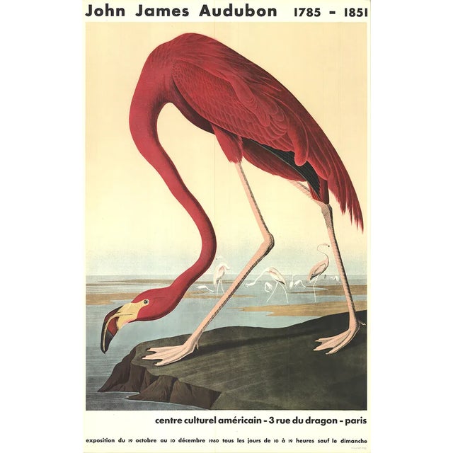 1960 John James Audubon 'American Flamingo' Lithograph Poster For Sale