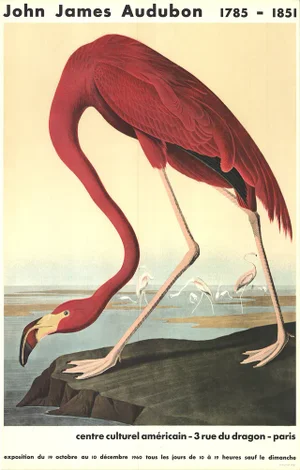 1960 John James Audubon 'American Flamingo' Lithograph Poster