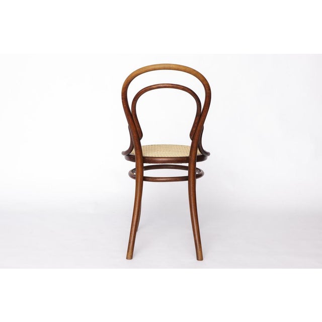 Wood Antique No. 14 Chair Viennese Coffee House Bentwood Chair with Cane Seat by Michael Thonet for Thonet, 1920s For Sale - Image 7 of 10