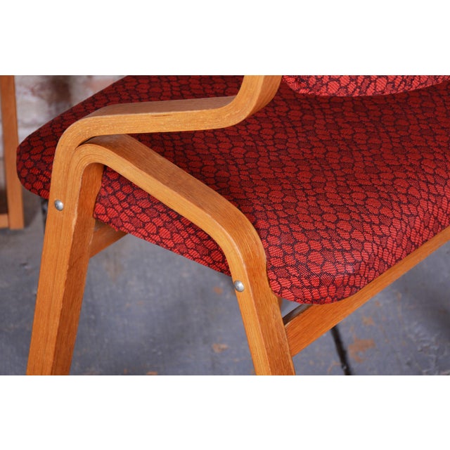 Mid-Century Czech Chairs in Maple attributed to Ludvik Volak for Drevopodnik Holesov, 1960s, Set of 6 For Sale - Image 12 of 18