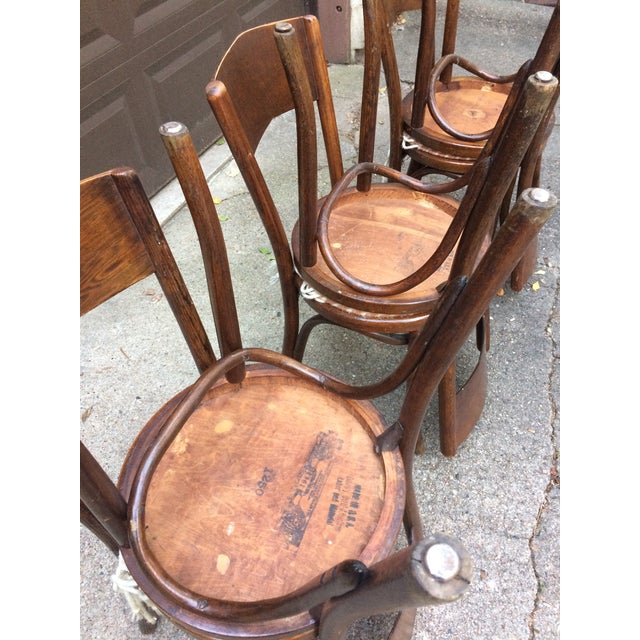 Vintage Great Northern Chair Co. Bentwood Chairs Set of 6 Chairish