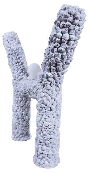H Sculpted Lamp by Johan Destrumelle