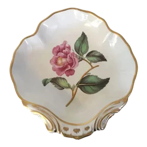 Antique Early 19th Century English George III Derby Porcelain Shell Shape Dish by William Quaker Pegg
