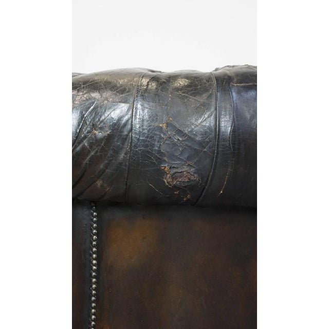 Cowhide 3-Seater Chesterfield Sofa For Sale - Image 18 of 18