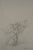 Alberto Giacometti, Paysage, Lithograph For Sale